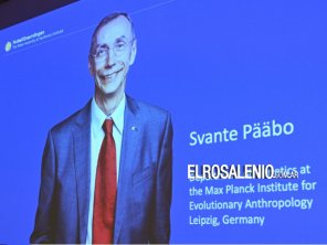 El Nobel de Medicina fue para el biólogo sueco Svante Pääbo