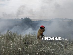 Nuevos episodios de incendios forestales en Punta Alta