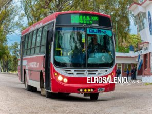 Cómo circularán los colectivos el domingo de elecciones