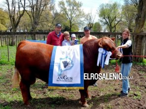 “Torcasita“, de Bajo Hondo fue el Campeón Angus en la muestra regional