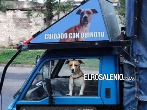 No pudo hacer un flete a Pago Chico porque no lo dejan entrar con el perro