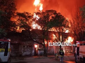 Un voraz incendio se desató en una carpintería de Bahía Blanca