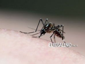 Crecen los casos de dengue en Bahía.¿Qué pasa en Punta Alta?