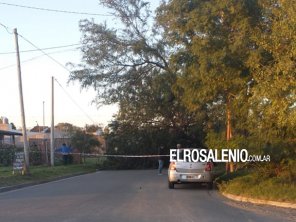 Cayó un árbol en Pringles al 300 y la calle permanece cortada