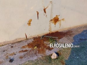 Ataque vandálico en el Polideportivo de Nueva Bahía Blanca