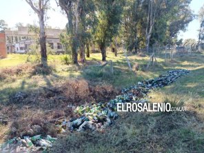 Acopian botellas de vidrios en el Circuito de la Salud, detrás del barrio Albatros V