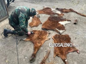 Abigeato: aprehendieron a una persona y secuestraron restos de animales