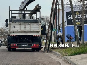 Otra vez, vecinos aseguran que colocan postes de palmera pese a prohibición