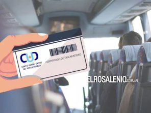 Algunas empresas ya no entregan pasajes para personas con discapacidad