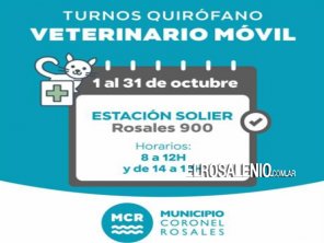 Durante octubre el Quirófano Veterinario Móvil estará en Estación Solier