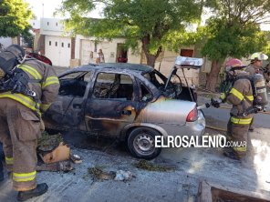 Llamas dañaron un auto en la tarde del sábado