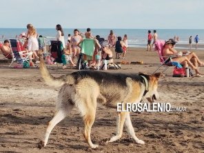 Nueva zona exclusiva de baño: se extendieron los límites de protección en Monte Hermoso