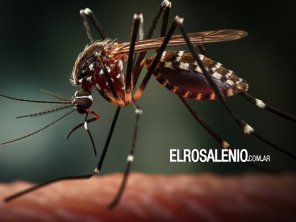 Confirmaron el primer caso de dengue autóctono en la provincia de Buenos Aires