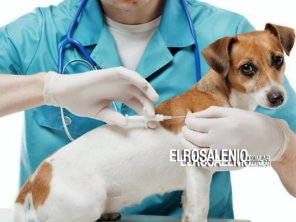 El 24 de abril habrá nueva jornada de vacunación antirrábica