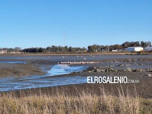 Jornada de limpieza costera e interpretación del humedal de Arroyo Pareja