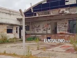 El predio de la ex CAIPAL otra vez sin cercos, nuevamente motivo de preocupación de los vecinos