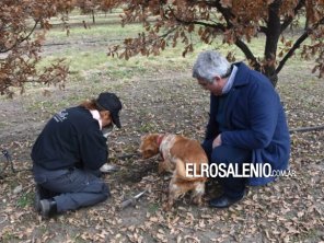 Provincia lanzó un programa para subsidiar con hasta $20millones iniciativas de valor agregado