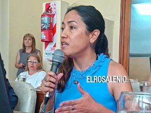 Bermejo por la obra de calle Irigoyen: “Atender una cosa no significa desatender otras”