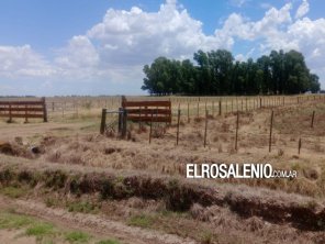 Se resistió a un asalto en un campo, resultó herido y le disparó a uno de los delincuentes