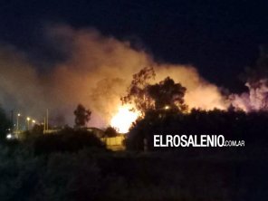 Continúa siendo intensa la actividad de Bomberos ante la reiteración de incendios de pastos
