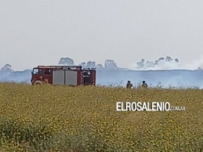 Otro incendio en el basural afecta campos lindantes y contamina el aire