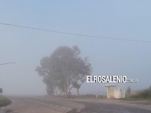 Precaución al conducir: niebla en las rutas rosaleñas