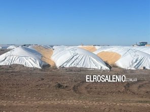 Volvió el vandalismo rural: en Bahía Blanca rompieron 5 silobolsas con mercadería por $300 millones