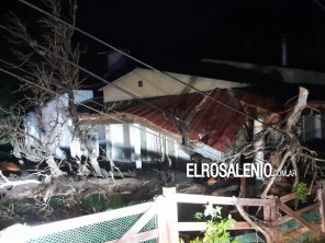 El viento dejó árboles y postes caídos, y daños en la costa de Pehuen Co y Arroyo Pareja