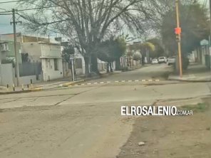 Colocaron reductor de velocidad en calle Brown pasando Villanueva