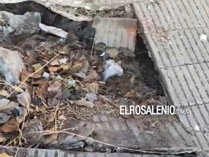 Vecina asegura que se hundió en una vereda “hasta la ingle” y que la pasó “muy mal”
