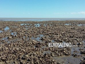 Alianza científica para monitorear las costas bonaerenses y norpatagónicas