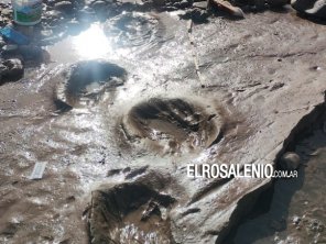 Encontraron más huellas de perezosos gigantes en Pehuen Co