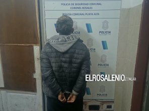 Se resistió a ser identificado, agredió a un policía e intentó robarle el arma